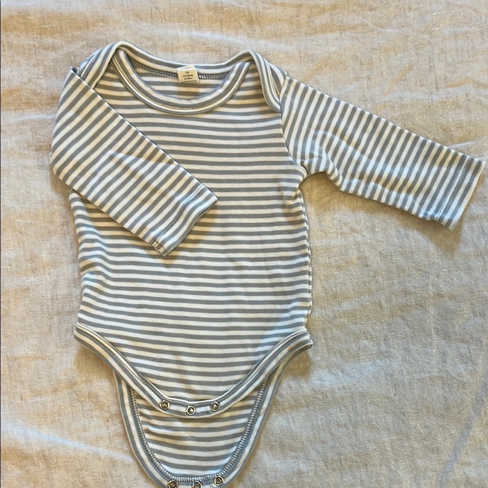 Colored Organics River Bodysuit in “Mist Stripe”